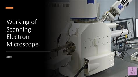 scanning electron microscope disadvantages|Scanning electron microscope (SEM) .